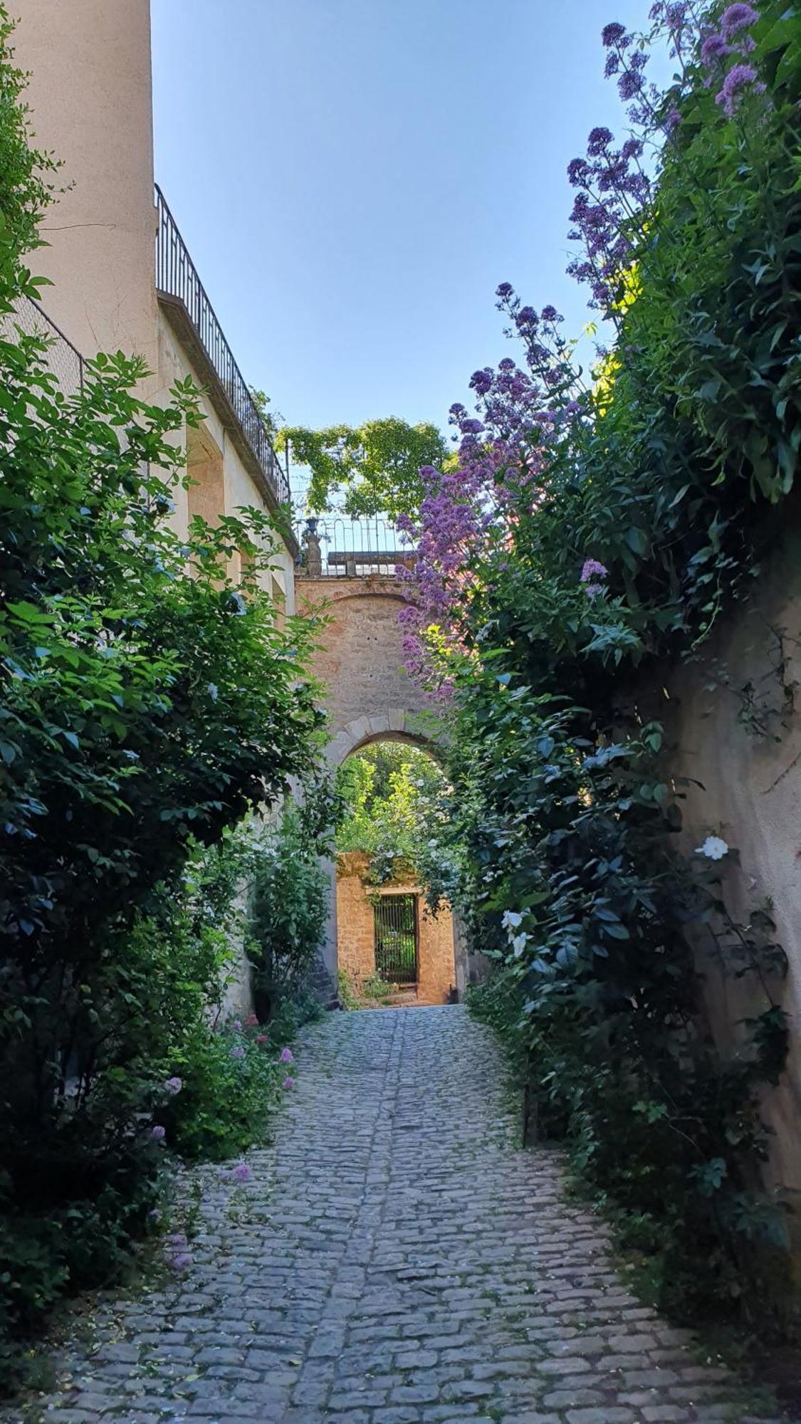 Etape Du Pont Pinard Villa Semur-en-Auxois Bagian luar foto