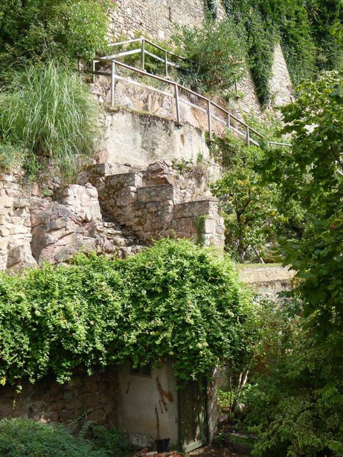 Etape Du Pont Pinard Villa Semur-en-Auxois Bagian luar foto